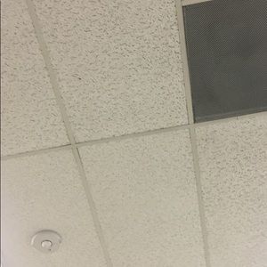 Meet your Posher, Carter